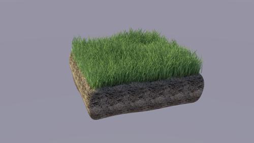 Realistic grass preview image